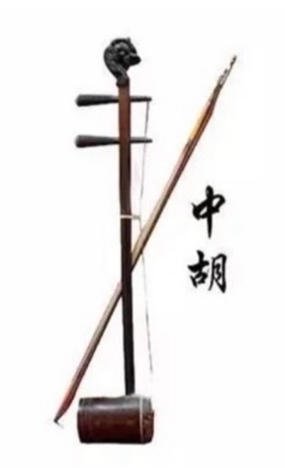 二胡とは?初心者にもわかる魅力・歴史・種類・始め方を専門家が徹底解説【2026年版】