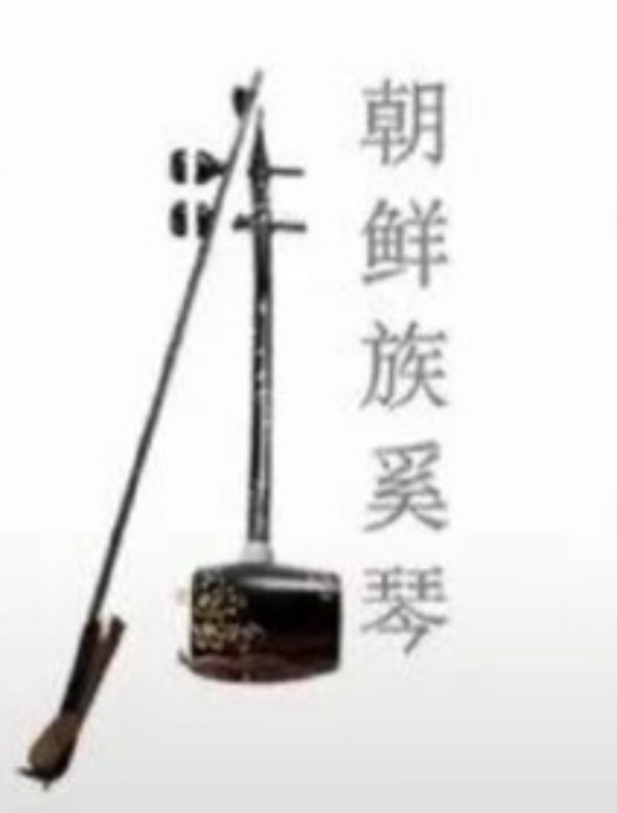 二胡とは？初心者にもわかる魅力・歴史・種類・始め方を専門家が徹底解説【2026年版】